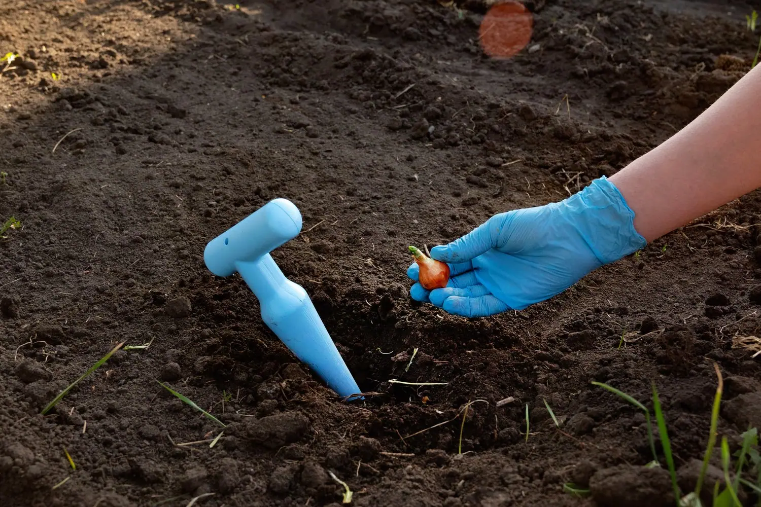 Nowoczesne czujniki wilgotności gleby - przegląd i zastosowanie